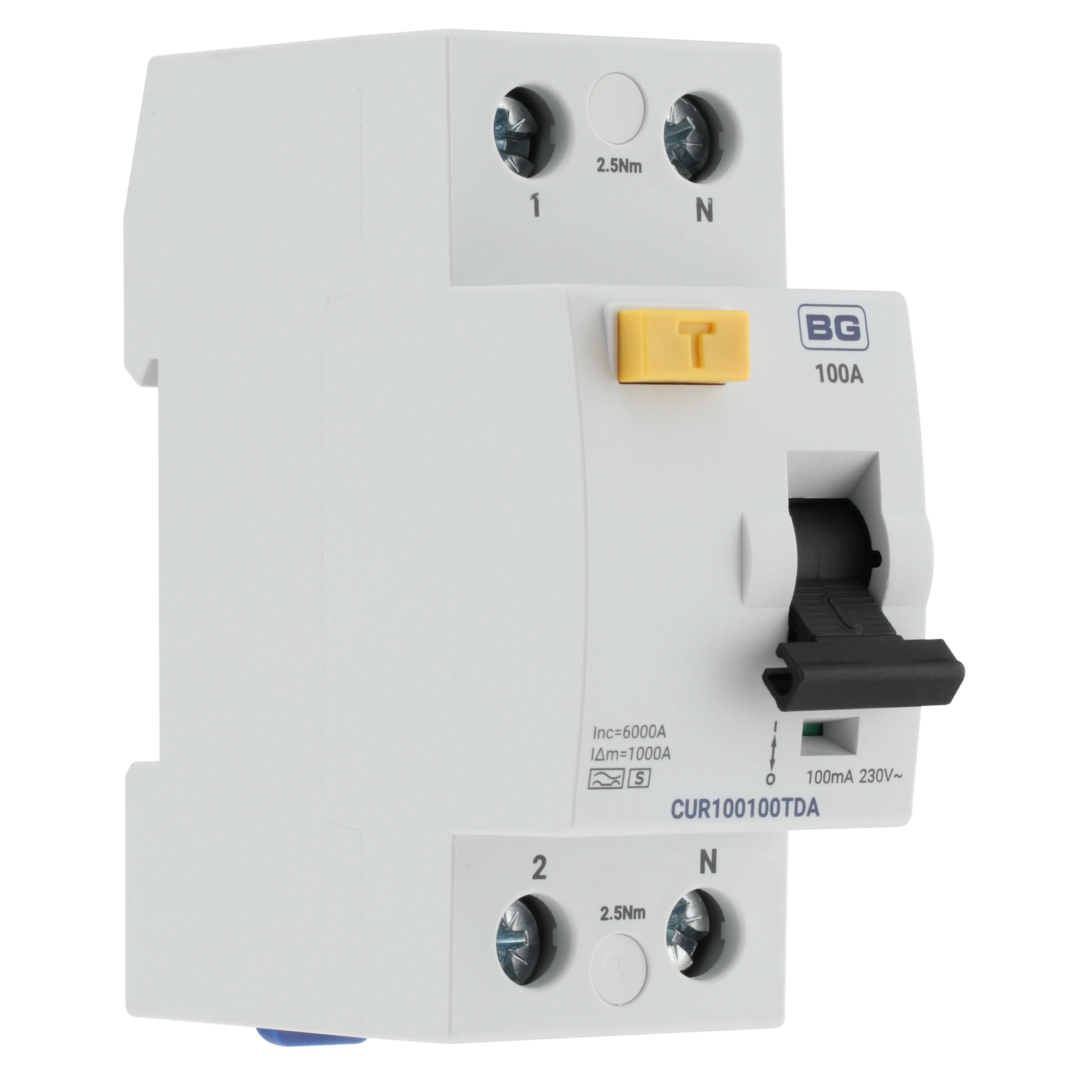 Bidirectional Time Delayed 100A RCD Type A Double Pole 100mA 2 Module