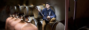 Domaine De Brin 1.jpeg