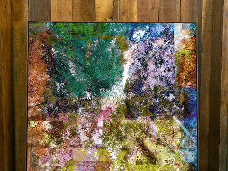 Vanessa CTReis conquista o Prêmio Altamiro Pimenta no 51º Salão da Primavera com a obra "Terra de Ararí"