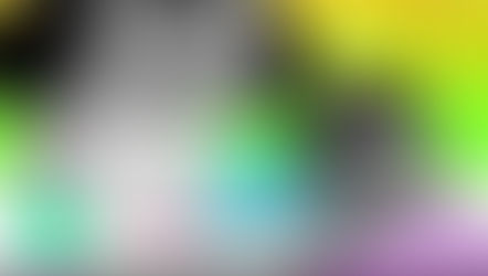 The Elephant (2025): Release Date, Creators, Plot Secrets & Why Adult Swim’s New Animated Experiment Is the Wildest Event of the Year