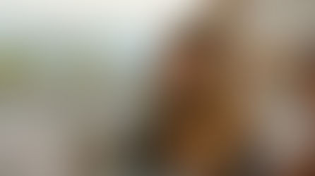 🌅Selling Sunset: Season 9 — New Faces, New Feuds, and Next-Level Luxury on Netflix