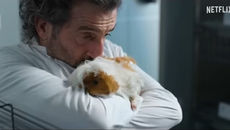 🐾 Old Dog, New Tricks (2025): Cast, Plot, Release Date, Review & Where to Watch – From Barnyard Cows to Boutique Poodles