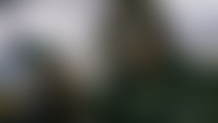 The Wrecker (2025) — Tyrese Gibson Gears Up for a Gritty Action Thriller This Halloween! 🚗💥