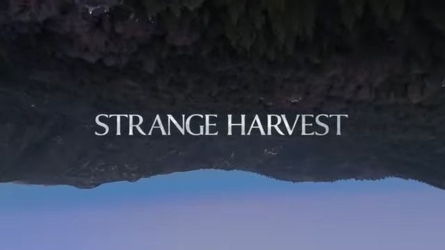 🔪🕯️ Strange Harvest (2025): A Haunting Mockumentary of Murder, Madness, and Mr. Shiny | Cast, Plot, Trailer, Release Date & Where to Watch