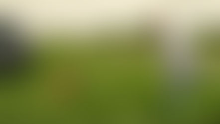 Clarkson’s Farm Season 4 (2025): Release Date, Plot, and Pub-Building Mayhem at Diddly Squat Farm