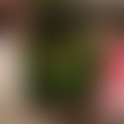 Pizza Movie (2026): Release Date, Trailer, Cast, and Why Hulu’s Wild College Comedy Is Worth Watching