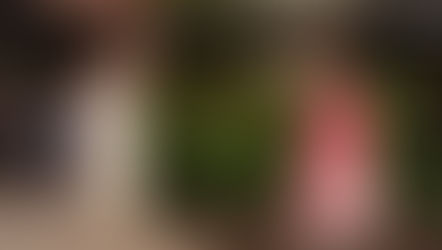 Pizza Movie (2026): Release Date, Trailer, Cast, and Why Hulu’s Wild College Comedy Is Worth Watching