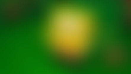 🍍The SpongeBob Movie: Search for SquarePants (2025): Cast, Plot, Release Date & What to Expect from SpongeBob’s Biggest Adventure Yet!