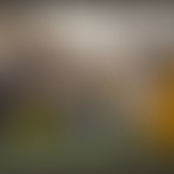 🍽️✨Dining With The Kapoors — Bollywood’s Royal Family Serves Food, Feelings & Forever-Legacy on Netflix This November