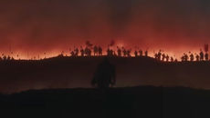 🩸Dracula: A Love Tale (2026)— Luc Besson’s Gothic Romance of Blood, Desire & Redemption | Cast, Plot, Release Date & Where to Watch