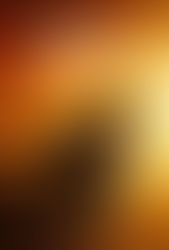 Desert Warrior (2025) Box Office: Worldwide, Domestic & International