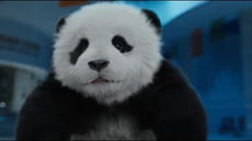 Panda Plan (2025) — Jackie Chan returns in this hilarious and action-packed family adventure, premiering November 14 on Lionsgate Play. Follow the kung fu superstar as he rescues a kidnapped panda in this heartwarming comedy full of stunts, laughs, and panda power!