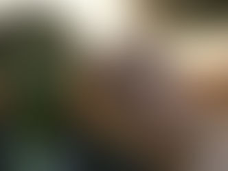 Wicked: For Good (2025) Box Office Update: A Powerful $440M Worldwide Run Despite Mixed Reviews