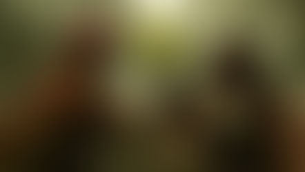 Helldivers 2 – Bring the Boom | Xbox Joins the Fight August 26, 2025 🚀🔥