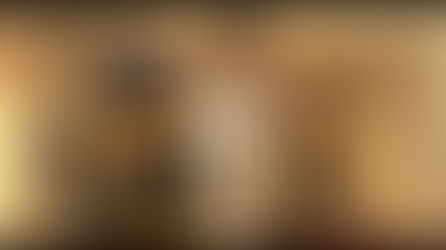 The Bad Guys 2: Bigger Heists, New Rivals, and Endless Laughs