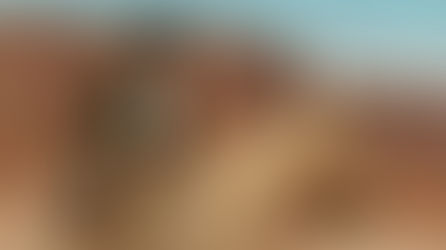 FRONTIER CRUCIBLE – Official Trailer: Myles Clohessy Leads a Brutal Western Thriller Arriving in Theaters & Digital on December 5