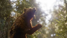 Ranger’s Path: National Park Simulator 🌲🐺 — Explore, Protect, and Preserve Nature