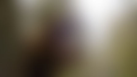 Ranger’s Path: National Park Simulator 🌲🐺 — Explore, Protect, and Preserve Nature