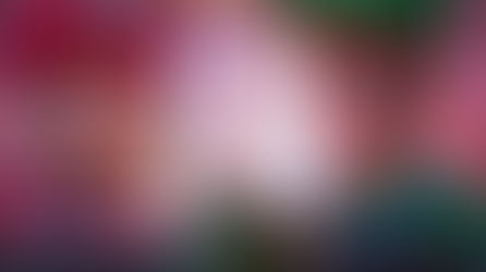 🚀The Super Mario Galaxy Movie (2026) — The Galaxy Awaits! | Official Trailer, Cast & Release Date Revealed 🌌