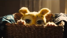 🐾🌴Marsupilami (2026) — A Wild New French Comedy Adventure Is Coming!