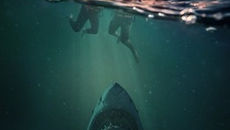 Deep Water (2026) Box Office: Worldwide, Domestic & InternationalHook Line
