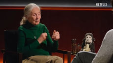 🌿 A Message From Dr. Jane Goodall | Famous Last Words — The Final Goodbye of a Voice That Spoke for the Earth