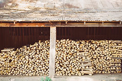Feu de bois