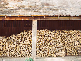 Firewood collection permits for South Coast State Forests