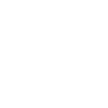 trans zodiac.png