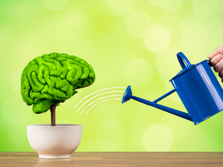 Enhance Focus and Memory Naturally