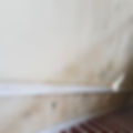 Damp zone LTD services for rising damp.jpg