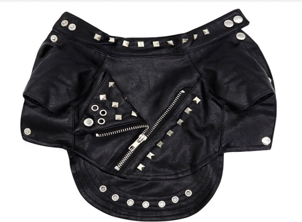 Thumbnail: Studded Faux Leather Jacket
