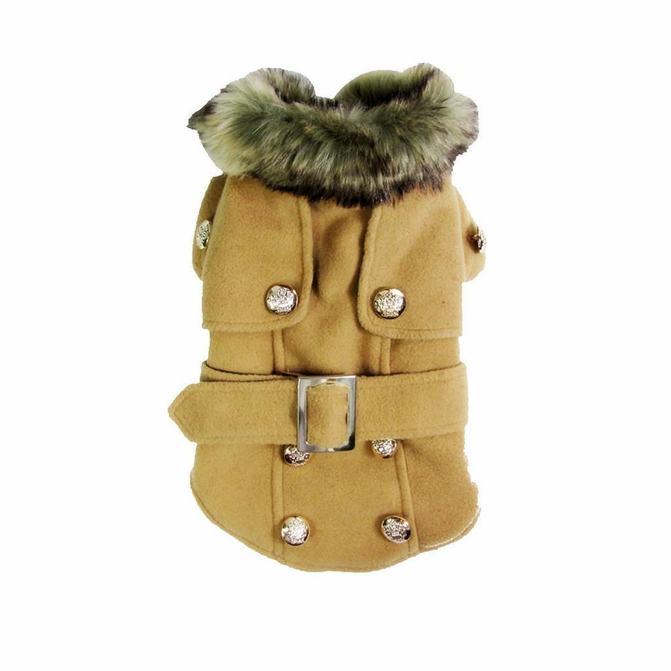 Thumbnail: British Style Coat