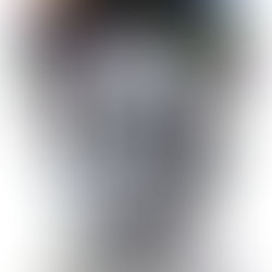 Collaboration Is Very Exciting: Lotus Seven Lotus