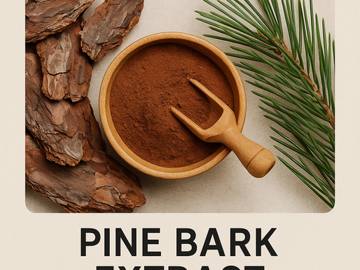 Pine Bark Extract in a wooden bowl