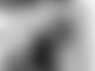 This Boujee Black Girls is a Bag Lady…