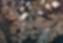 WAMI-Home-Image.jpg
