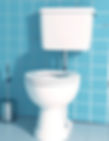simple toilet in png.jpg