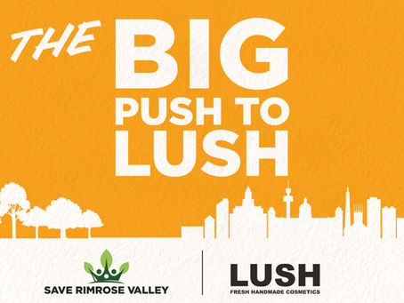 The BIG push to LUSH! All you need to know