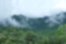 DSCF0618.JPG