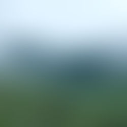 The story was quite clear, to me