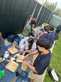 IMG_1766 (1).jpeg