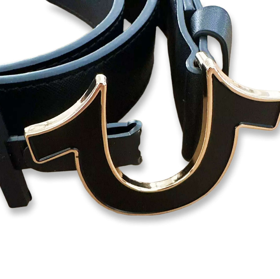 Miniatura: Cinturón True Religion | Black Casual belt