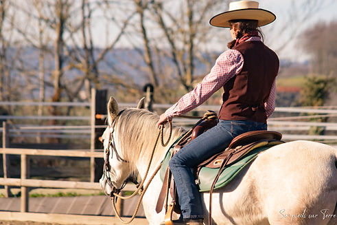 Je travail vos chevaux en pension.