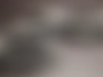 Poder Ejecutivo dispone extradición de dominicano y ruso hacia EE. UU. y España, respectivamente