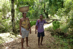 Nosy Be - Faune et de la flore de Madagascar