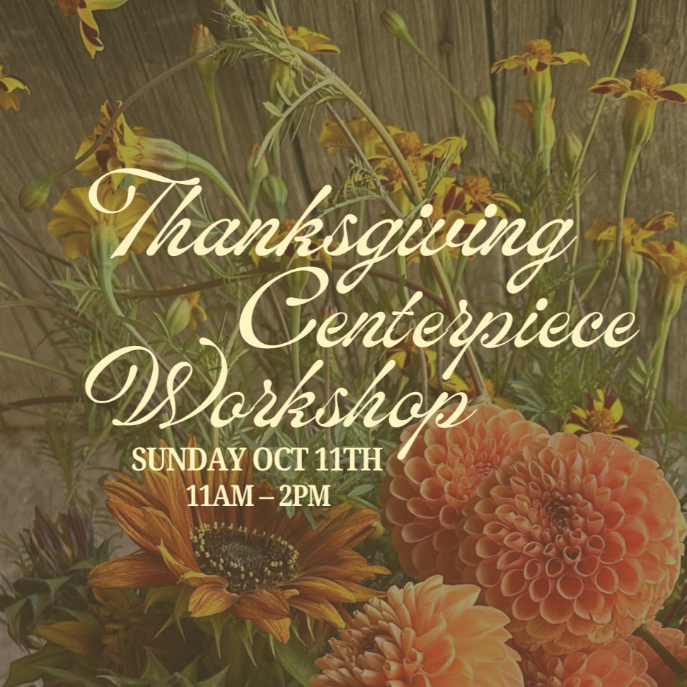Centrepiece Workshop~ at Beetbox's Thanksgiving Farmer Market Oct. 11th