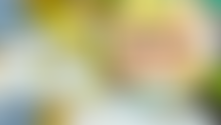 Energy Company Moved to Recognize ICSID Award Against Bulgaria