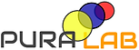 2017-04-08 20_48_25-PURALAB_OverviewDeck - Google Slides.png