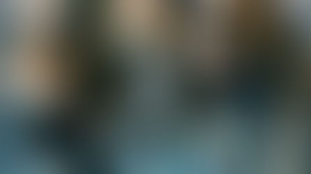 Mali : Création du Bataillon d’Intervention Rapide au sein des FAMa